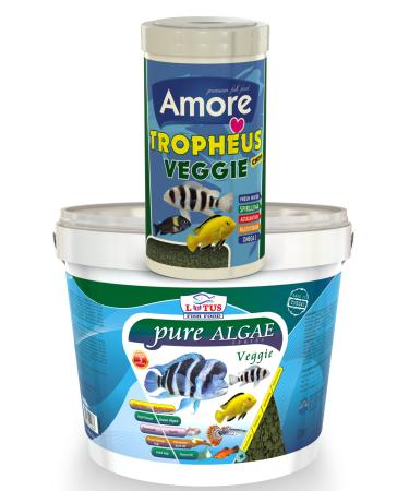 AMORE Tropheus Veggie Algae Chips 1000ml Lotus Pure Algae Pro Chips Aquarium Bucket Herbal Fish Food