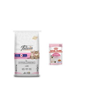 Felicia lamb Kitten & Mother 12 kg + Royal Canin Kitten Pouch Wet Food 85 gr