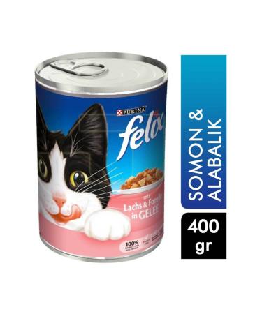 FELIX Cat Food 100 G Chicken