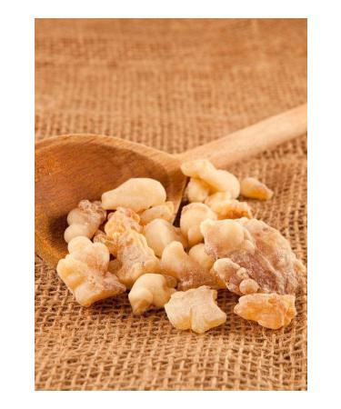 Hac o lu Spice Hatay Local White Daily Frankincense Pohur Gum Gum 240 gr