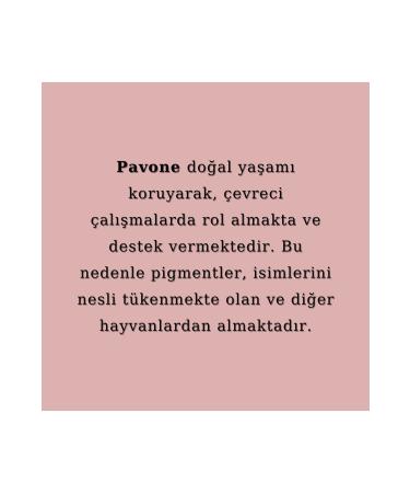 Pavone PASTEL LIP PAINT - PERMANENT MAKEUP NUDE LIP PIGMENT - Buy Online on GoSupps.com