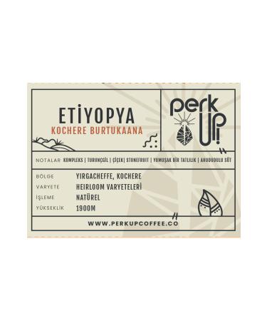 Perk Up Coffee Ethiopia Kochere Burtukaana Bean Filter Coffee 100gr - Buy Online on GoSupps.com