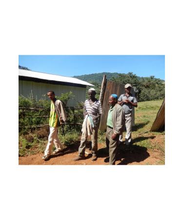 Perk Up Coffee Ethiopia Kochere Burtukaana Bean Filter Coffee 100gr - Buy Online on GoSupps.com