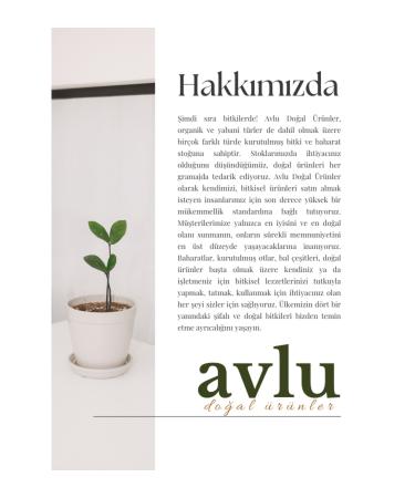 Courtyard Natural Products Nioli Oil 20ml - Buy Online on GoSupps.com