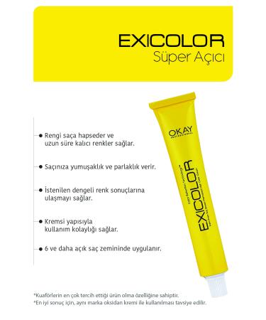 Exicolor 1001 EXTRA ASH LIGHT BLONDE Permanent Cream Hair Dye 60ml - Buy Online on GoSupps.com