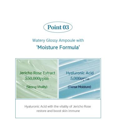 Nacific Hyal Booster Cream 50ml - Hyaluronic Moisturizing Face Cream - Buy Online on GoSupps.com