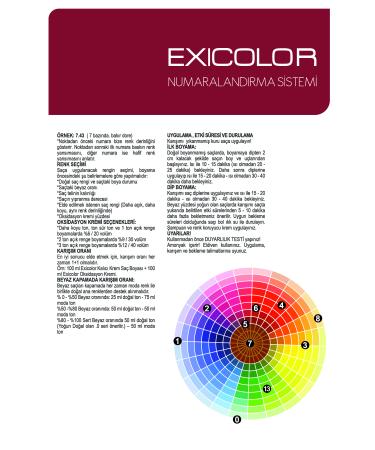 Exicolor MIX 0.01 INTENSIVE GREY Permanent Cream Hair Dye 60ml - Buy Online on GoSupps.com