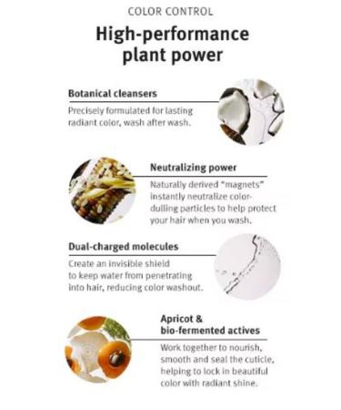 Aveda Color Control Shampoo Rich for Colored Hair 200ml - Buy Online on GoSupps.com