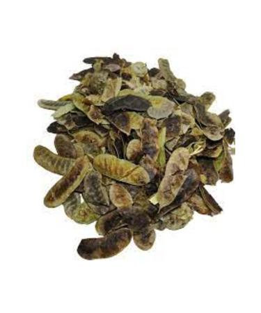 Village Seeds 500 Grams Cooking Herb Plant Quality Organic Harvest Organic Harvest Herbs