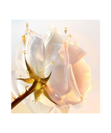 Dior Prestige Sucre de Gommage-Sugar Scrub Face and Lip Peeling 150ML - Buy Online on GoSupps.com