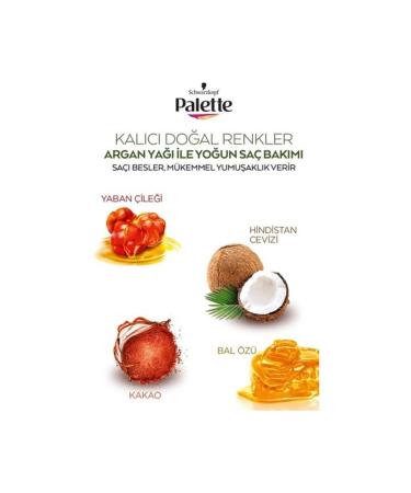 Palette Permanent Natural Colors Hair Dye 4-60 Golden Brown - Buy Online on GoSupps.com