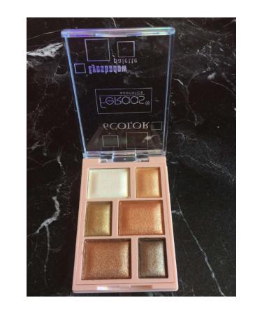 feraas cosmetics Eyeshadow Eyeshadow Palette 6 No:04.01