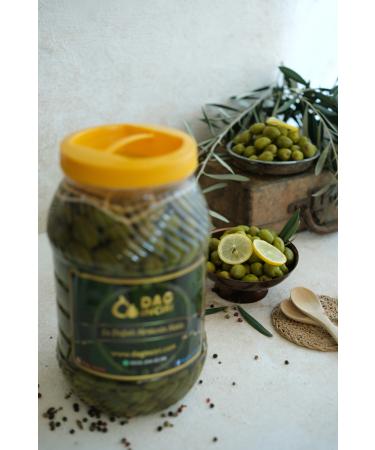 Mountain Fig Cracked Olives 1 Kg - Natural Brine Lightly Salted Green Olives - Buy Online on GoSupps.com