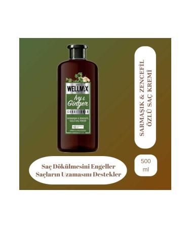 Wellmax Ivy & Ginger Hair Conditioner 500ml. Ivy Ginger Salt-free-paraben-free-dye-free