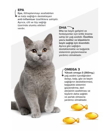 patiografya Premium Fish Oil with Omega 3 and 6 for Cats and Dogs - Immune System Fur Care - Buy Online on GoSupps.com