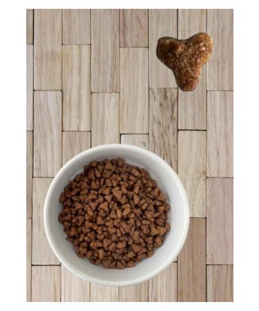 Anatolian Premium Kitten Chicken Kitten Cat Food with Chicken 2 Kg - Buy Online on GoSupps.com