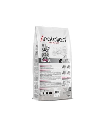 Anatolian Premium Kitten Chicken Kitten Cat Food with Chicken 2 Kg - Buy Online on GoSupps.com