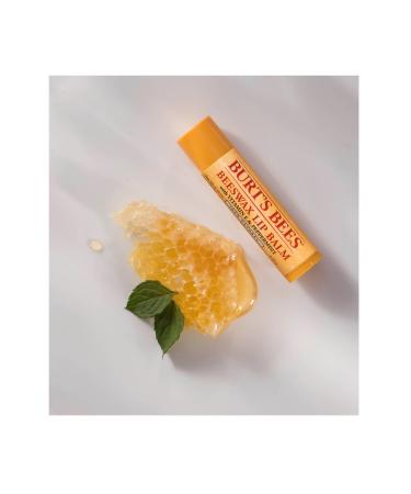 BEES Burts Bees Beeswax Natural Mint Fresh Lip Care Cream - Buy Online on GoSupps.com