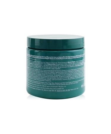 Aveda Botanical Repair Strengthening Rich Intensive Repair Weightless Mask 450 ml CYT67974464131 - Buy Online on GoSupps.com