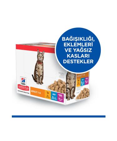 Hill's SCIENCE PLAN Chicken Adult Cat Pouch 12 X 85g - Buy Online on GoSupps.com