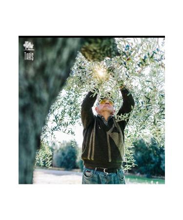 Tari North Aegean Natural Extra Virgin Olive Oil 2 Liters - Buy Online on GoSupps.com