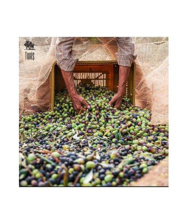 Tari North Aegean Natural Extra Virgin Olive Oil 2 Liters - Buy Online on GoSupps.com