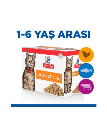 Hill's SCIENCE PLAN Chicken Adult Cat Pouch 12 X 85g - Buy Online on GoSupps.com