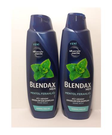 Blendax MEN MENTHOL FRESHNESS 4 IN 1 MINT EXTRACT SHAMPOO 470 ML X 2 PIECES