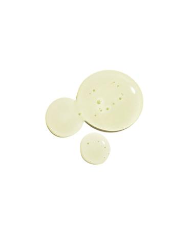 L'Occitane Citrus Verbena Shampoo - Verbena Orange Fresh Shampoo - 250 ml - Buy Online on GoSupps.com