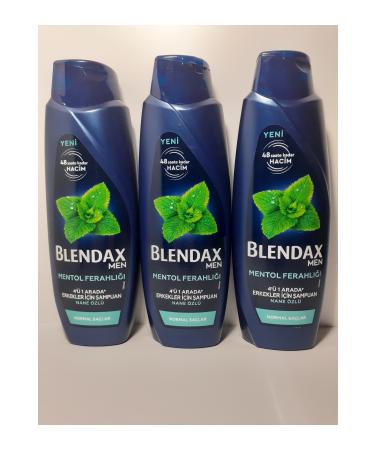 Blendax MEN MENTHOL FRESHNESS 4 IN 1 MINT EXTRACT SHAMPOO 470 ML X 3 PIECES