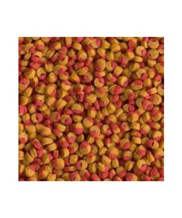 Tetra Cichlid Color Mini Granules 1000 Grams