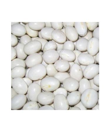 Kastamonu Sugar Beans 1 Kg - Buy Online on GoSupps.com