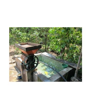 Perk Up Coffee Guatemala Huehuetenango Coffee 250 gr - Buy Online on GoSupps.com