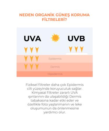 Sinoz Spf 50 Anti-Spot Brightening Effective High Protection Niacinamide Face Sun Cream 50 ml - Buy Online on GoSupps.com