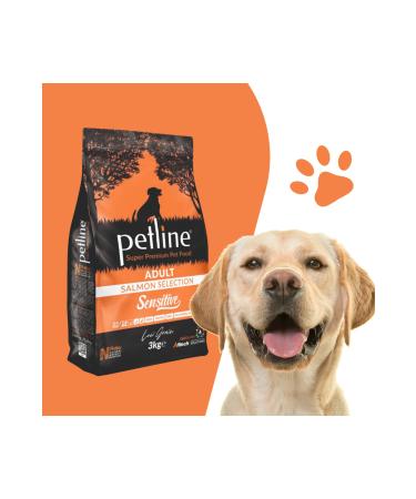 ALLWAY Sensitive Skin Adult Dog Food with Salmon 3kg- Sensitive - Buy Online on GoSupps.com