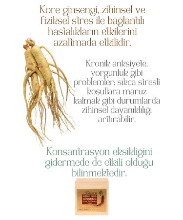 Balen Red Korean Ginseng Extract 60 Tablets - Buy Online on GoSupps.com