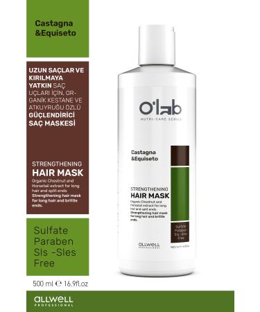 Olab Hair Care FOR LONG HAIR AND HAIR TIPS THAT ARE PRONE TO BREAKAGE ORGANIC CHESTNUT AND HORSETAIL EXTRACT HAIR MASK