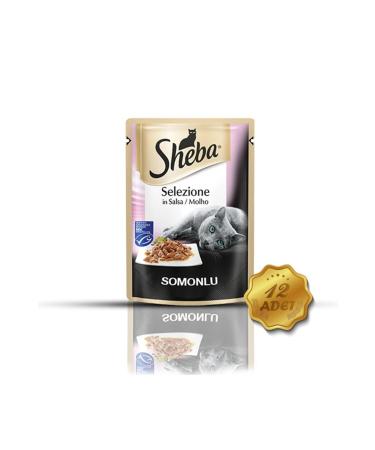 SHEBA Adult Cat Wet Food with Salmon 85 gr (12 PIECES) - Buy Online on GoSupps.com