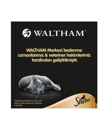 SHEBA Chicken Adult Cat Wet Food 85 gr (12 PIECES) - Buy Online on GoSupps.com