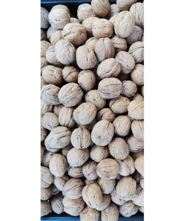 Walnuts in Shell