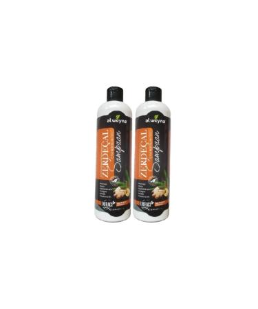 ALWEYNA Turmeric & Pine Cone Extract Herbal Shampoo 400 Ml 2 Pieces