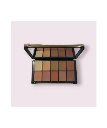 Kiss Beauty 10 Color Blush and Concealer