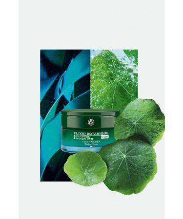 Yves Rocher Night Cream - Anti-Aging Herbal Antioxidant Care / Elixir Botanique-50 ml - Buy Online on GoSupps.com