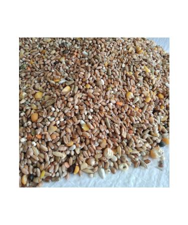 Uludag Wheat Mixed Pigeon Food 10kg - Buy Online on GoSupps.com