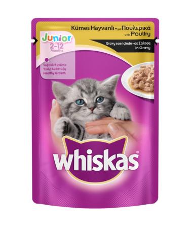 Whiskas Pouch Junior Chicken Meat Kitten Cat Wet Food 100 Gr X 5 Pieces
