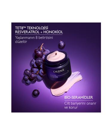 Caudalie PREMIER CRU BR GHTENING-SH NING INTENS VE DAY CARE CREAM 50ML - REPLACEMENT CAPSULE DEMBA4060