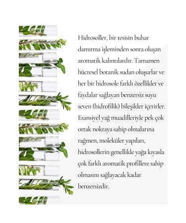 NATUROVA Rosemary Water Anti-Loss Fast Hair Growth Effective Hydrosol 100% Natural Pure 100 ml - Buy Online on GoSupps.com