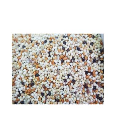 Waterfall Mixed Budgie Food 5 Kg