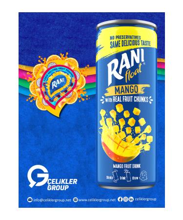 Rani Mango Juice with Chunks