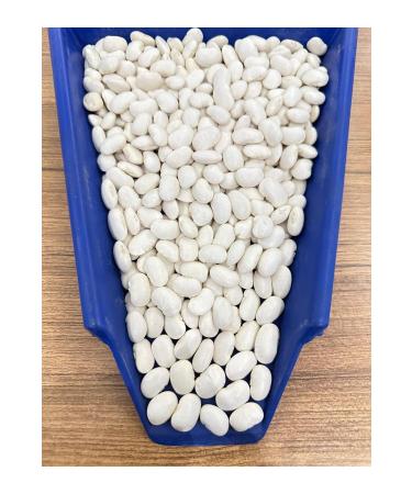 Cbm bombayy beans 5 kilos